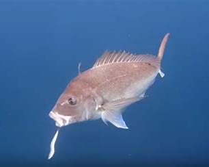 【第6回解説(ネタバレあり】そのネクタイ、実は「高すぎた」かもしれない