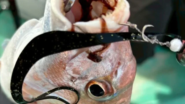 【第8回解説(ネタバレあり】「じゃあ、いつ巻けばいいんですか？」