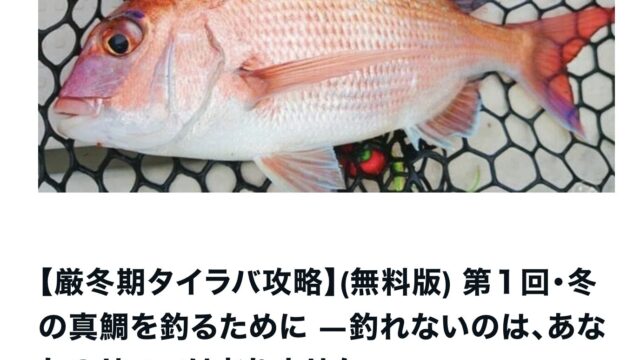 【第１回解説(ネタバレあり)】なぜ冬の真鯛は、こんなにも「分からなく」なるのか