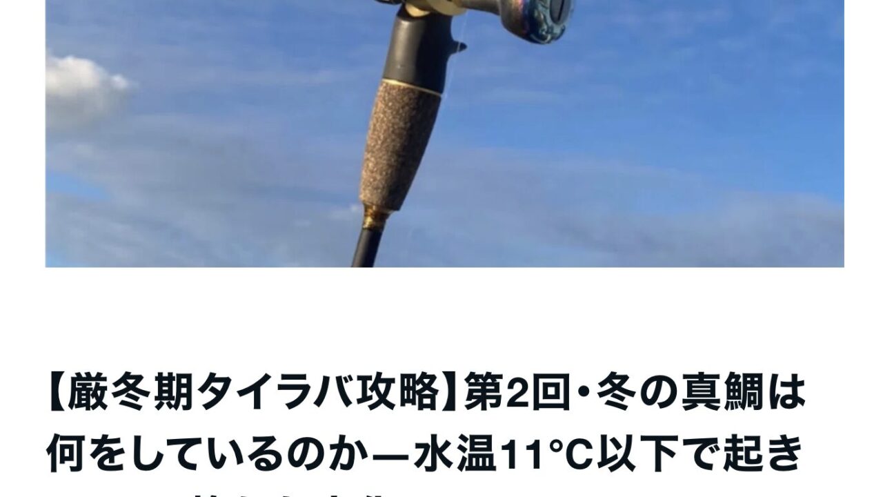 【第２回解説(ネタバレあり】冬の真鯛は、いったい海の中で何をしているのか